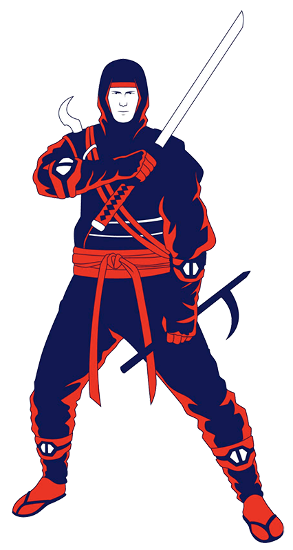 ninja 2